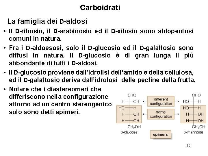 Carboidrati La famiglia dei D-aldosi • Il D-ribosio, il D-arabinosio ed il D-xilosio sono