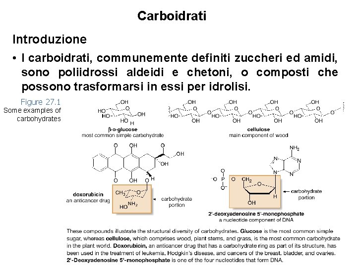 Carboidrati Introduzione • I carboidrati, communemente definiti zuccheri ed amidi, sono poliidrossi aldeidi e