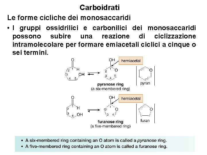 Carboidrati Le forme cicliche dei monosaccaridi • I gruppi ossidrilici e carbonilici dei monosaccaridi