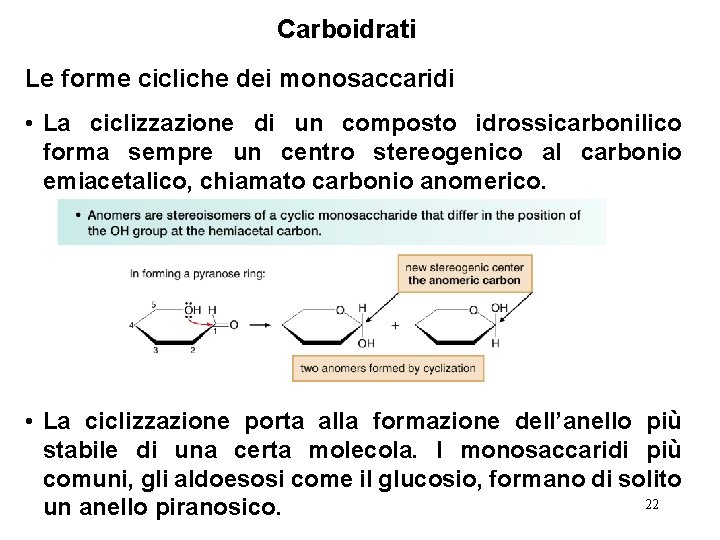 Carboidrati Le forme cicliche dei monosaccaridi • La ciclizzazione di un composto idrossicarbonilico forma Carboidrati Le forme cicliche dei monosaccaridi • La ciclizzazione di un composto idrossicarbonilico forma