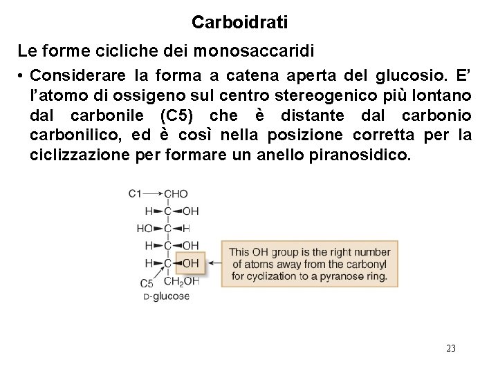 Carboidrati Le forme cicliche dei monosaccaridi • Considerare la forma a catena aperta del
