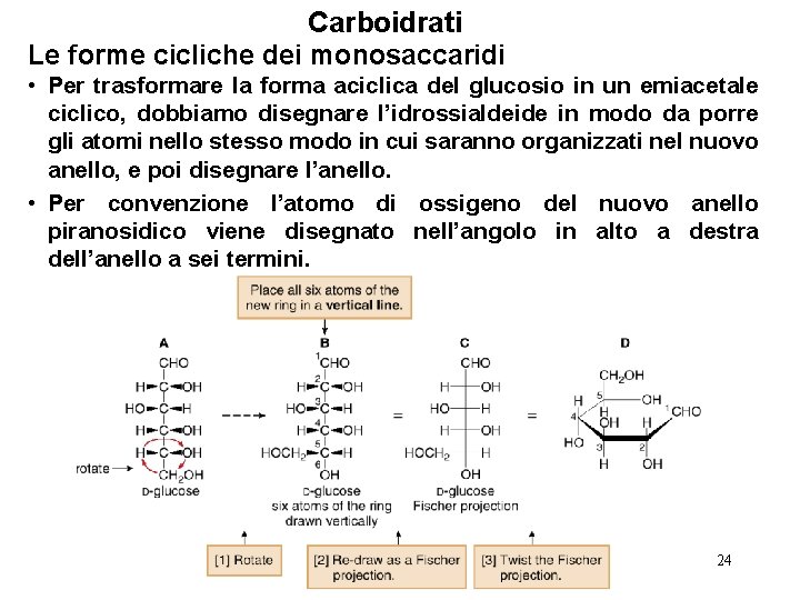 Carboidrati Le forme cicliche dei monosaccaridi • Per trasformare la forma aciclica del glucosio