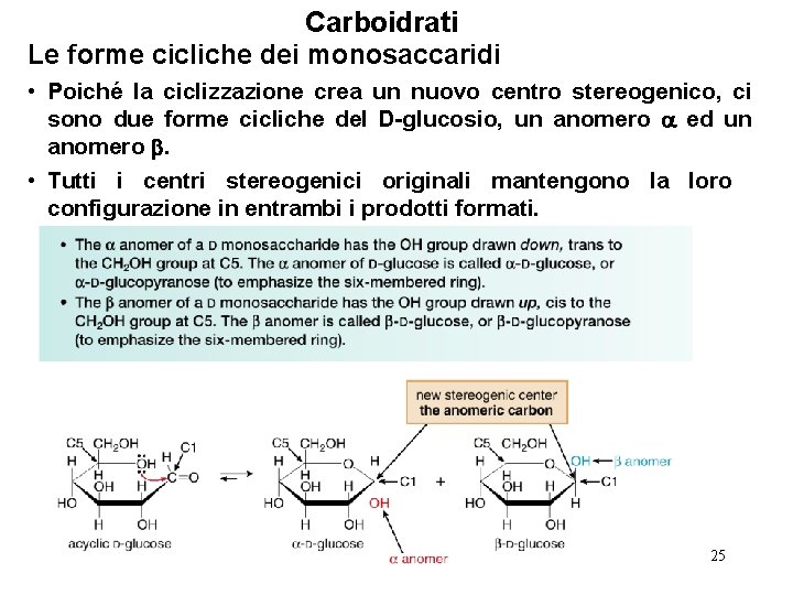 Carboidrati Le forme cicliche dei monosaccaridi • Poiché la ciclizzazione crea un nuovo centro