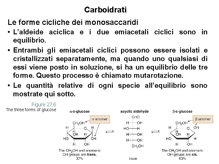 Carboidrati Le forme cicliche dei monosaccaridi • L’aldeide aciclica e i due emiacetali ciclici