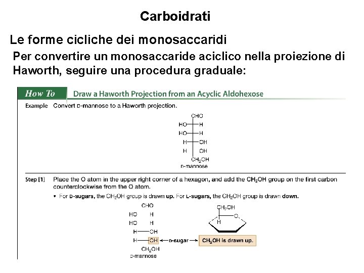 Carboidrati Le forme cicliche dei monosaccaridi Per convertire un monosaccaride aciclico nella proiezione di