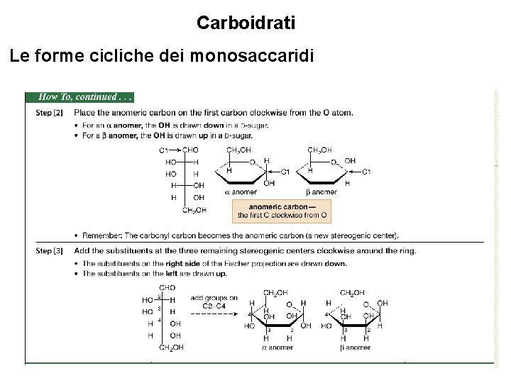 Carboidrati Le forme cicliche dei monosaccaridi 29 