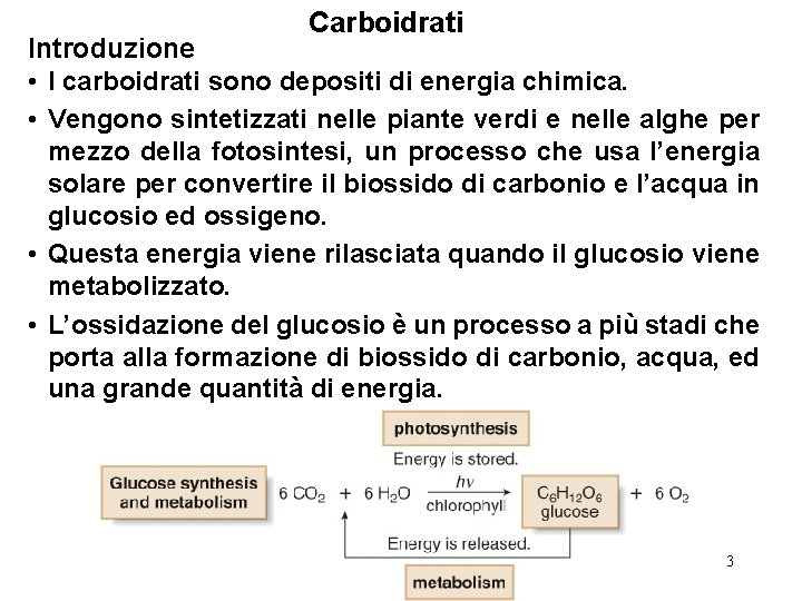 Carboidrati Introduzione • I carboidrati sono depositi di energia chimica. • Vengono sintetizzati nelle