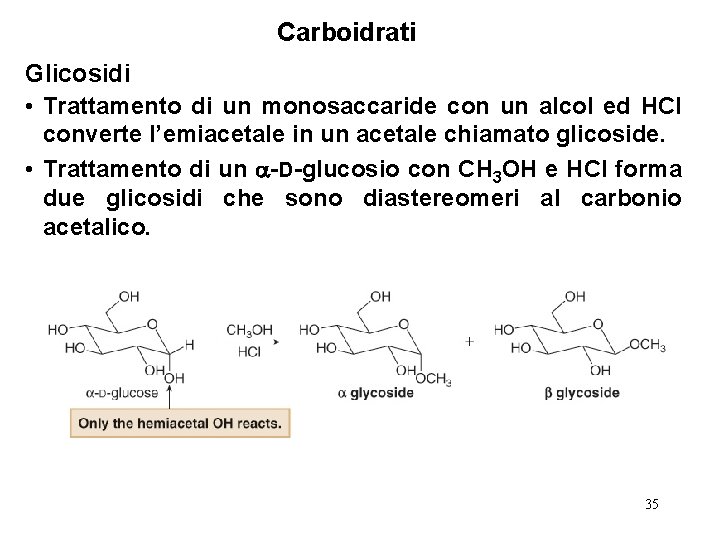 Carboidrati Glicosidi • Trattamento di un monosaccaride con un alcol ed HCl converte l’emiacetale