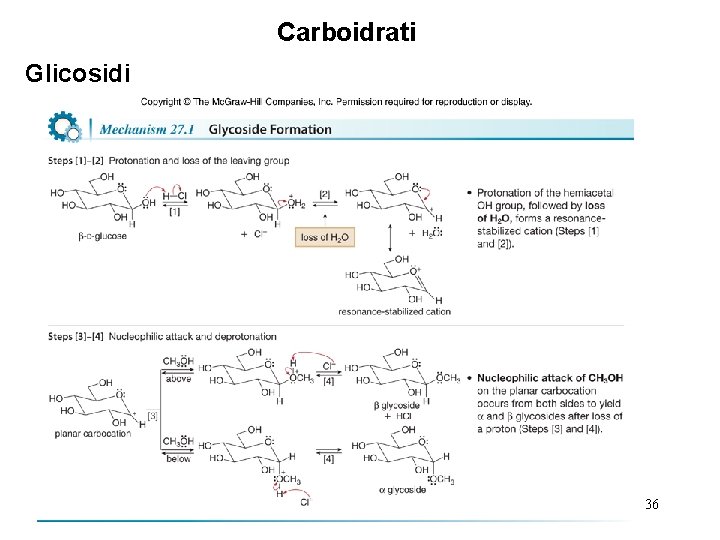 Carboidrati Glicosidi 36 