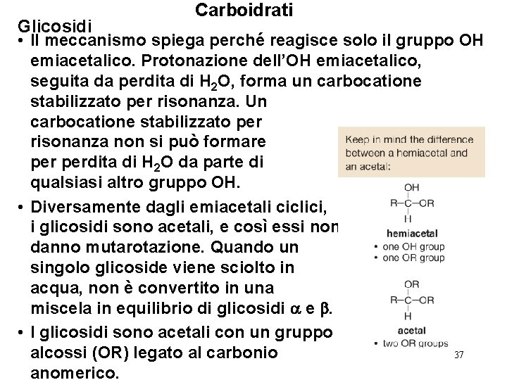 Carboidrati Glicosidi • Il meccanismo spiega perché reagisce solo il gruppo OH emiacetalico. Protonazione