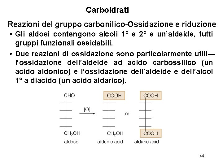 Carboidrati Reazioni del gruppo carbonilico-Ossidazione e riduzione • Gli aldosi contengono alcoli 1° e