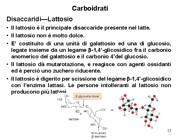 Carboidrati Disaccaridi—Lattosio • Il lattosio è il principale disaccaride presente nel latte. • Il