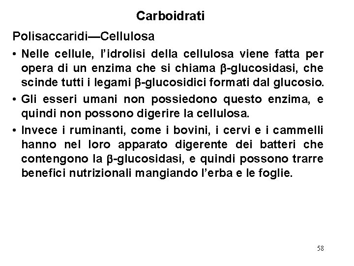 Carboidrati Polisaccaridi—Cellulosa • Nelle cellule, l’idrolisi della cellulosa viene fatta per opera di un