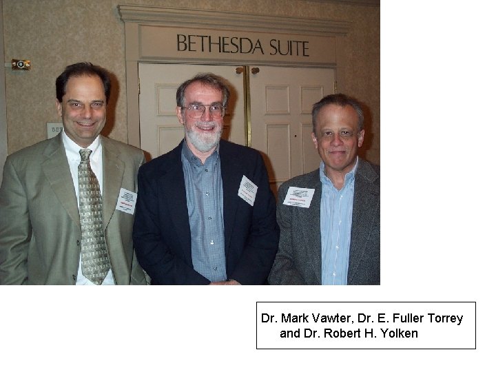 Dr. Mark Vawter, Dr. E. Fuller Torrey and Dr. Robert H. Yolken 