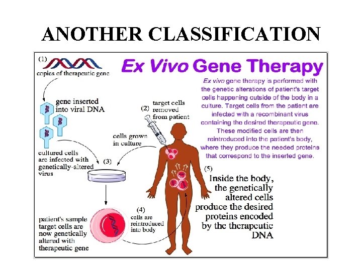 ANOTHER CLASSIFICATION 