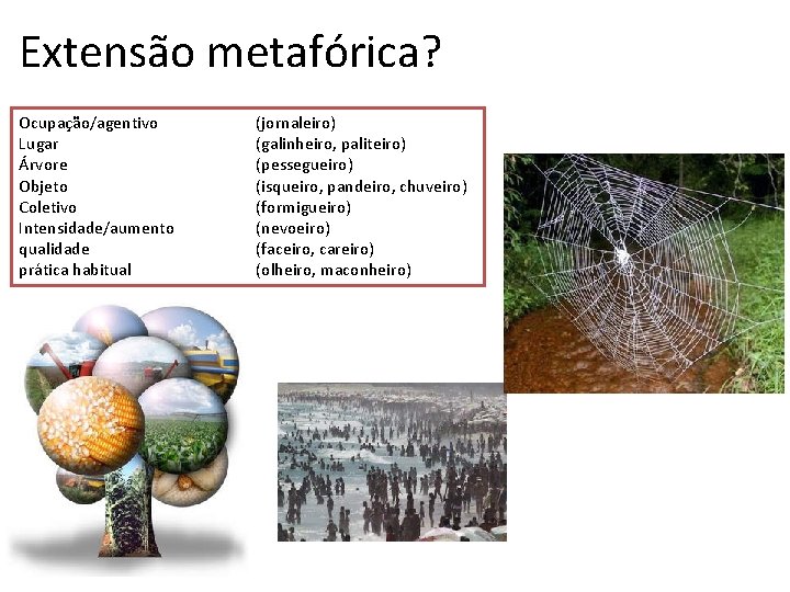 Extensão metafórica? Ocupação/agentivo Lugar Árvore Objeto Coletivo Intensidade/aumento qualidade prática habitual (jornaleiro) (galinheiro, paliteiro)