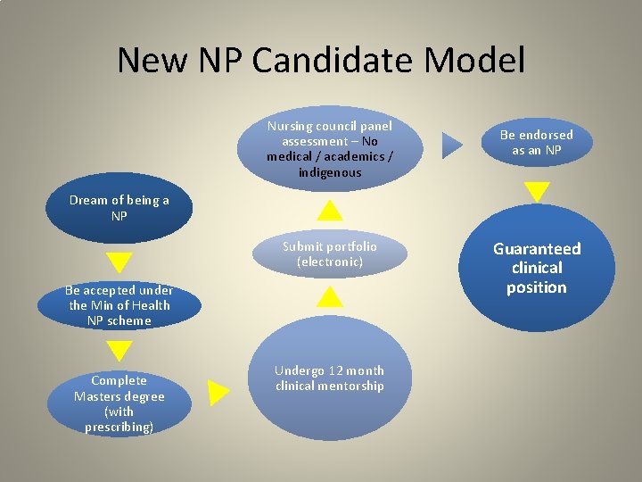 New NP Candidate Model Nursing council panel assessment – No medical / academics /
