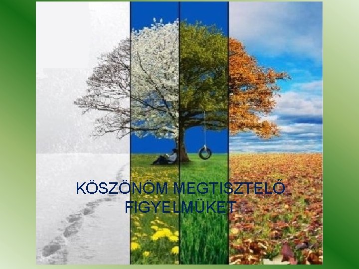 KÖSZÖNÖM MEGTISZTELŐ FIGYELMÜKET 