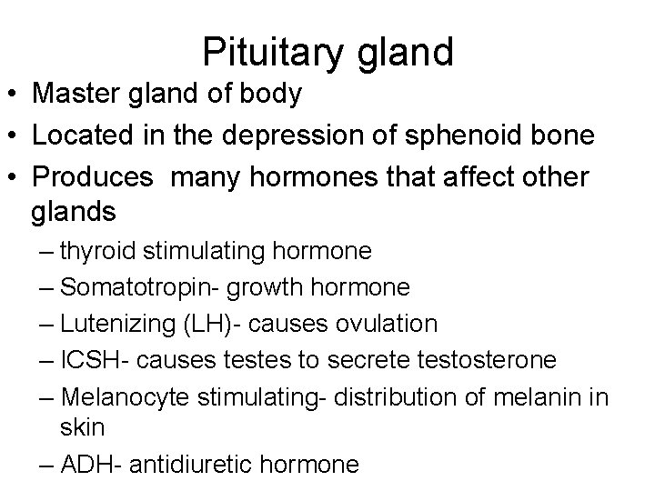 Pituitary gland • Master gland of body • Located in the depression of sphenoid