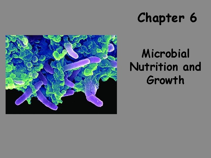 Chapter 6 Microbial Nutrition and Growth 