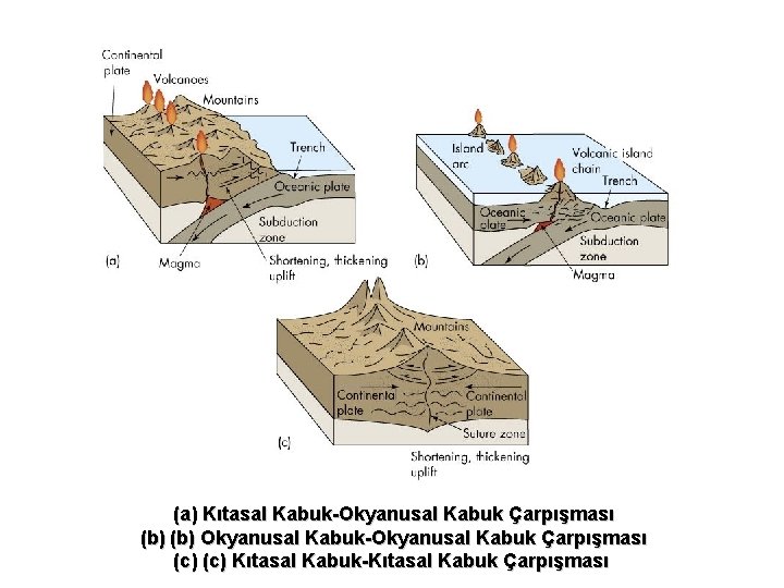 (a) Kıtasal Kabuk-Okyanusal Kabuk Çarpışması (b) Okyanusal Kabuk-Okyanusal Kabuk Çarpışması (c) Kıtasal Kabuk-Kıtasal Kabuk