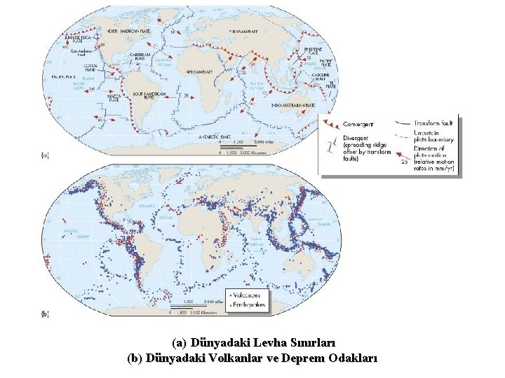 (a) Dünyadaki Levha Sınırları (b) Dünyadaki Volkanlar ve Deprem Odakları 