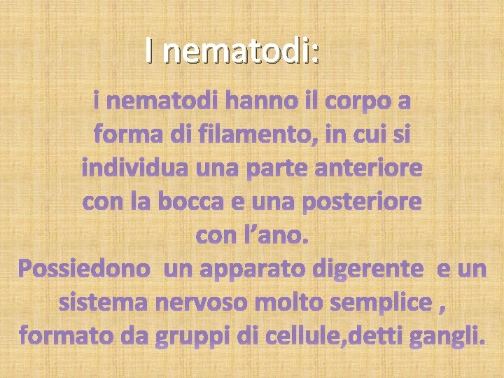 I nematodi: i nematodi hanno il corpo a forma di filamento, in cui si