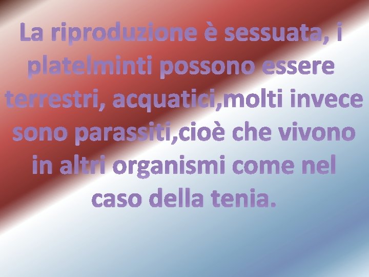 La riproduzione è sessuata, i platelminti possono essere terrestri, acquatici, molti invece sono parassiti,