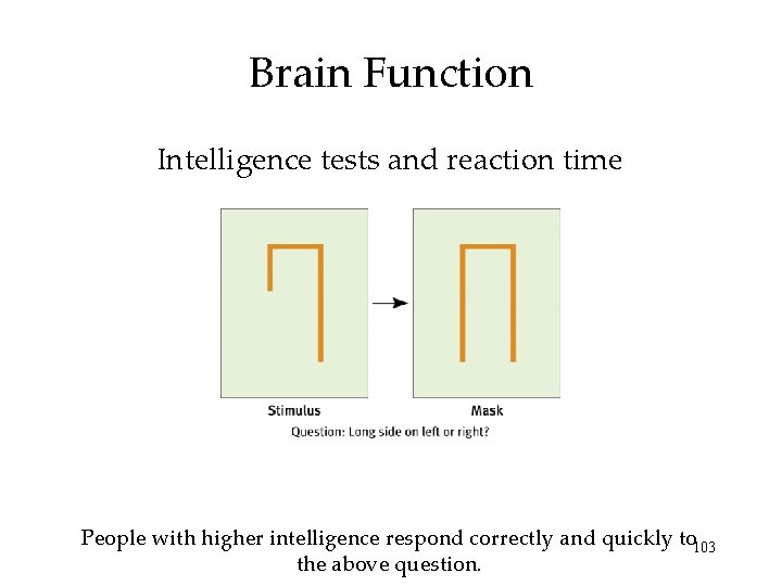 Brain Function Intelligence tests and reaction time People with higher intelligence respond correctly and