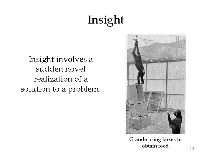 Insight involves a sudden novel realization of a solution to a problem. Grande using