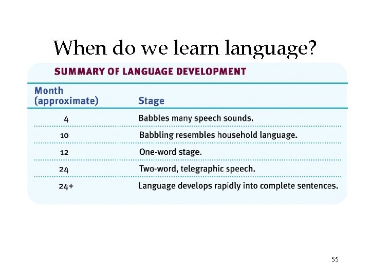 When do we learn language? 55 