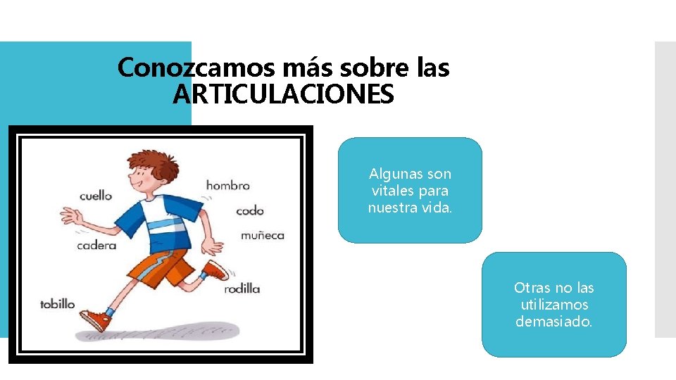 Conozcamos más sobre las ARTICULACIONES Algunas son vitales para nuestra vida. Otras no las