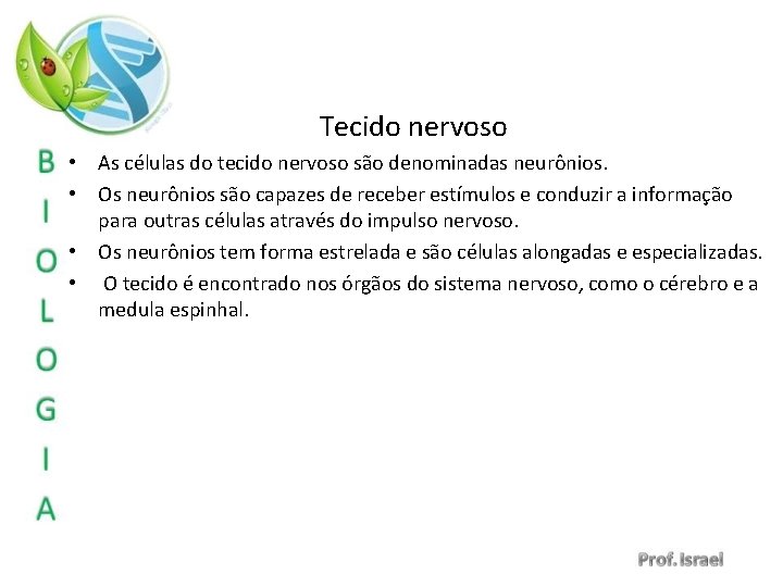 Tecido nervoso • As células do tecido nervoso são denominadas neurônios. • Os neurônios