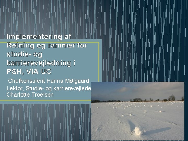 Implementering af Retning og rammer for studie- og karrierevejledning i PSH, VIA UC Chefkonsulent