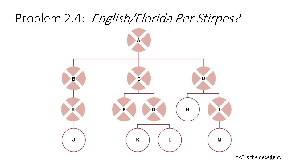Problem 2. 4: English/Florida Per Stirpes? “A” is the decedent. 13 