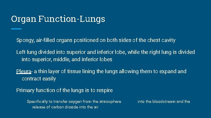 Organ Function-Lungs Spongy, air-filled organs positioned on both sides of the chest cavity Left