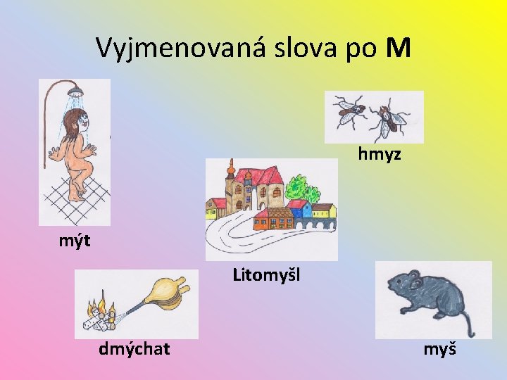 Vyjmenovaná slova po M hmyz mýt Litomyšl dmýchat myš 