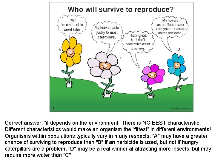 Correct answer: “it depends on the environment” There is NO BEST characteristic. Different characteristics