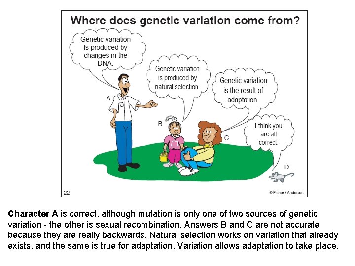 Character A is correct, although mutation is only one of two sources of genetic