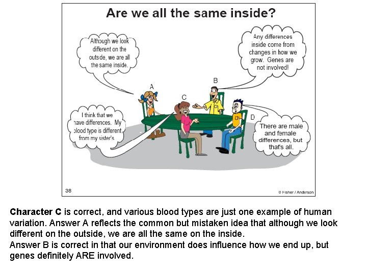 Character C is correct, and various blood types are just one example of human