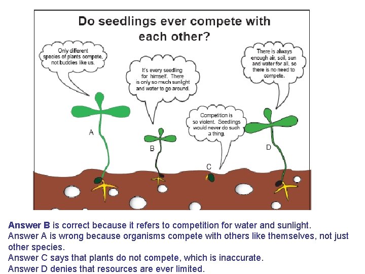 Answer B is correct because it refers to competition for water and sunlight. Answer