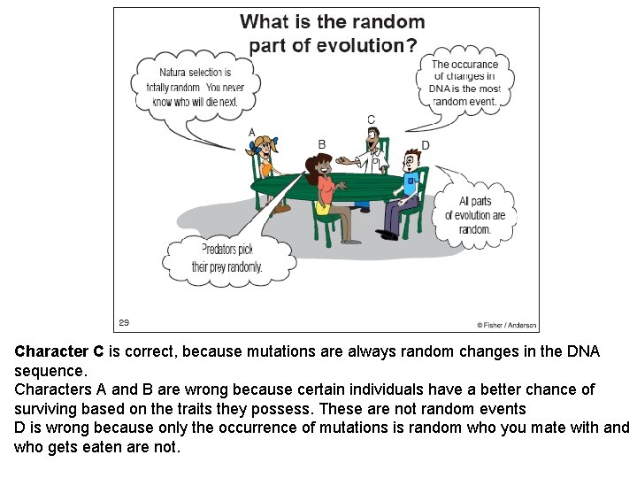 Character C is correct, because mutations are always random changes in the DNA sequence.