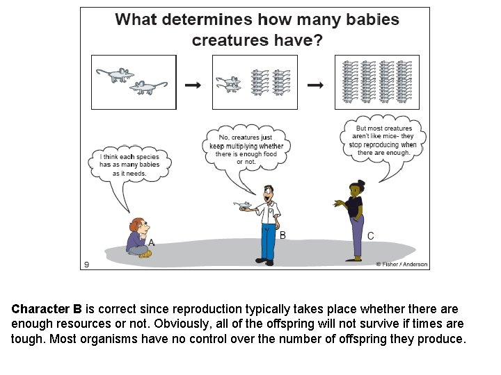 Character B is correct since reproduction typically takes place whethere are enough resources or