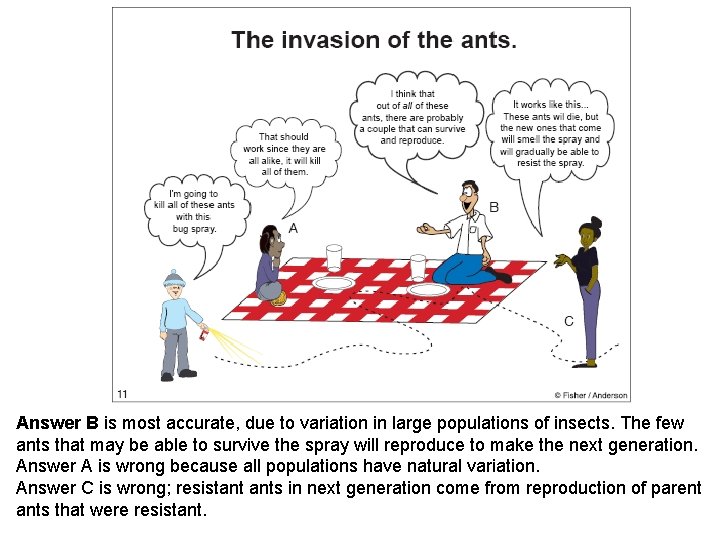Answer B is most accurate, due to variation in large populations of insects. The