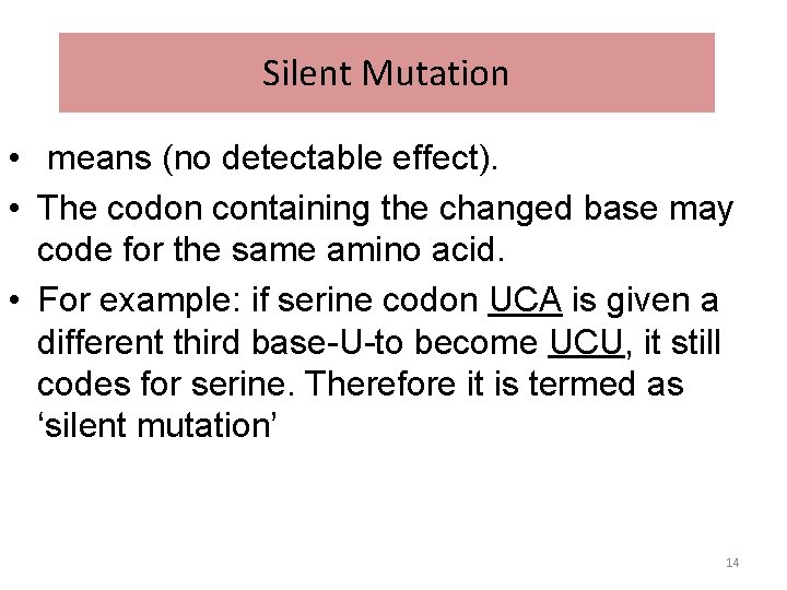 Silent Mutation • means (no detectable effect). • The codon containing the changed base Silent Mutation • means (no detectable effect). • The codon containing the changed base