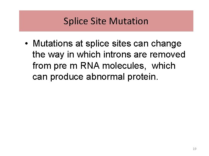 Splice Site Mutation • Mutations at splice sites can change the way in which