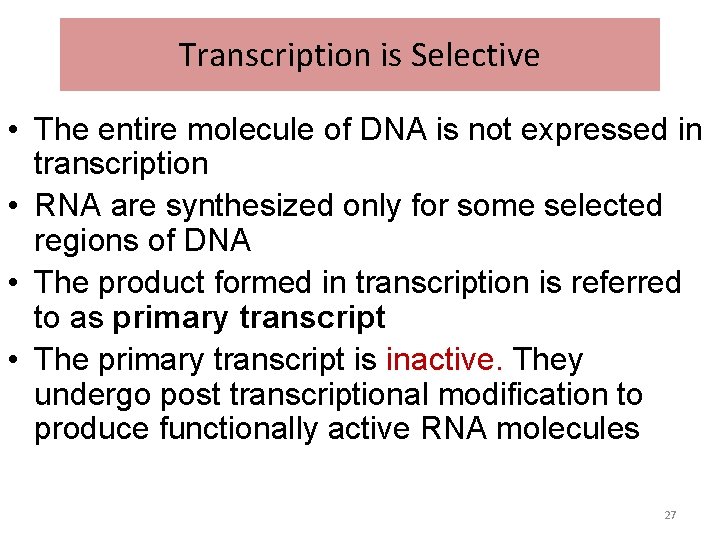 Transcription is Selective • The entire molecule of DNA is not expressed in transcription