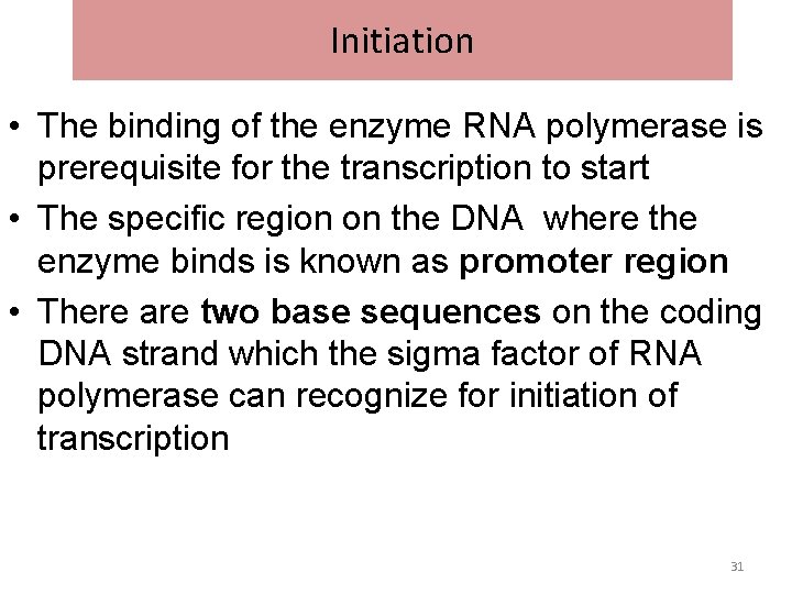 Initiation • The binding of the enzyme RNA polymerase is prerequisite for the transcription