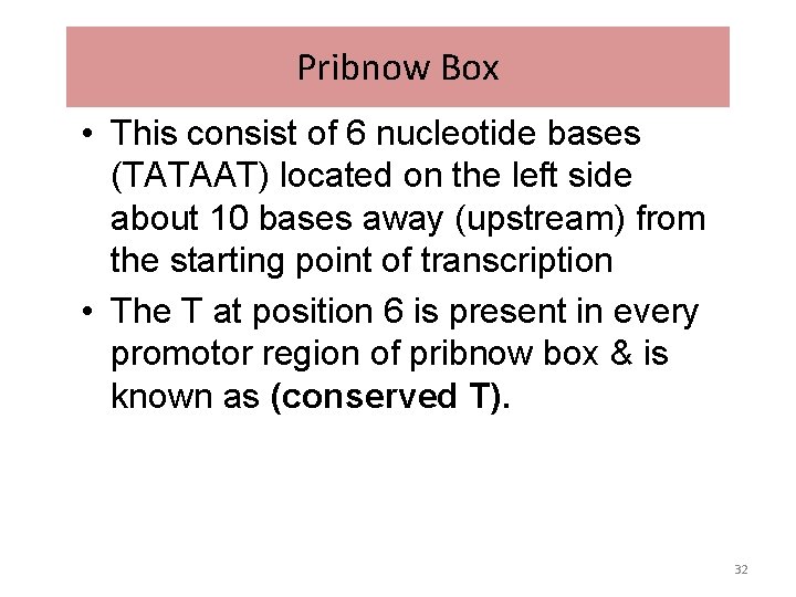 Pribnow Box • This consist of 6 nucleotide bases (TATAAT) located on the left