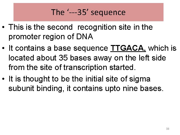 The ‘---35’ sequence • This is the second recognition site in the promoter region